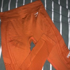 Gym shark leggings